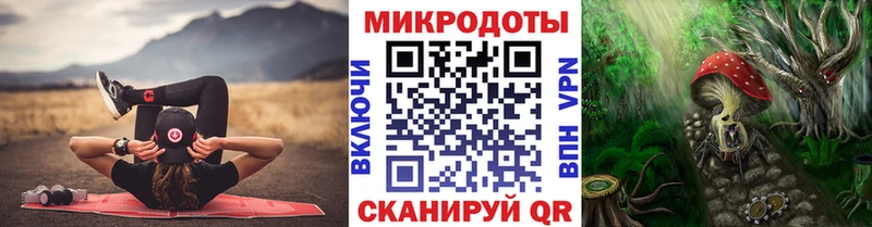 Псилоцибиновые грибы Magic Shrooms  ОМГ ОМГ вход  Нерюнгри 